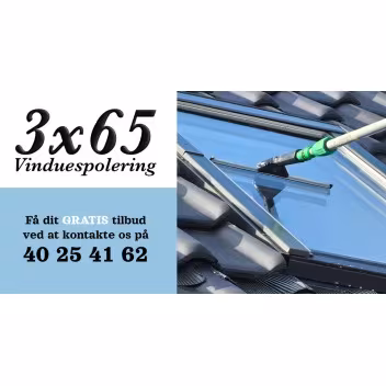 3X65 VINDUESPOLERING V/JOEL RYE HANSEN