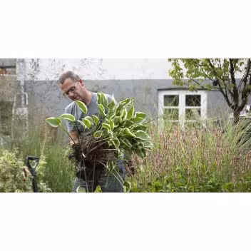 Hortus Design & Media v/Frank Kirkegaard Hansen