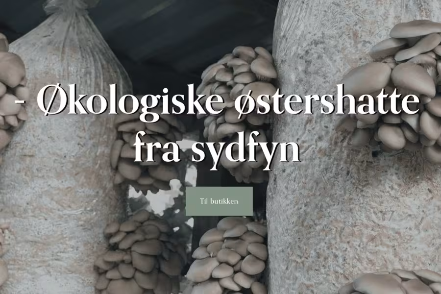 Fyns Ø Svampe