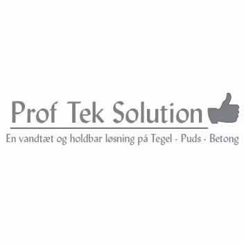 Prof Tek Solution